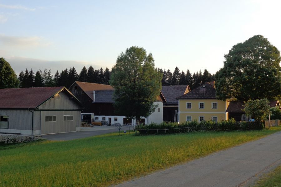 St. Georgen; Christbaum; Landwirtschaft