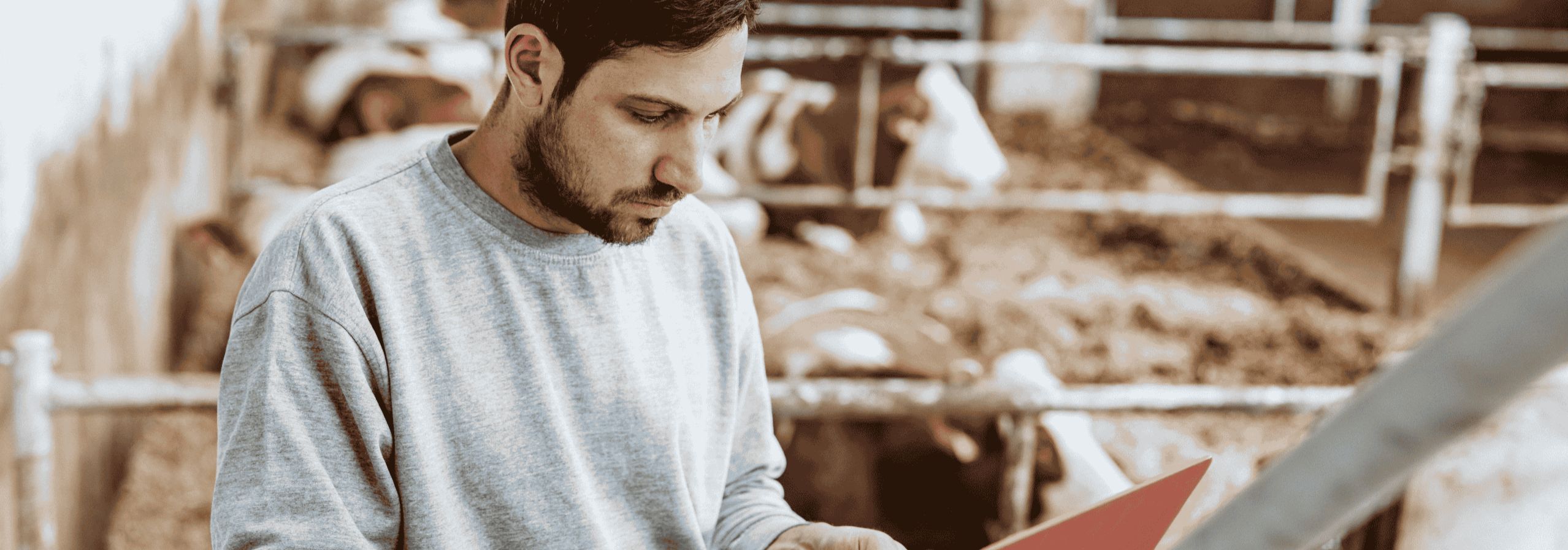 meinHofmeinWegStartseiteKarusell